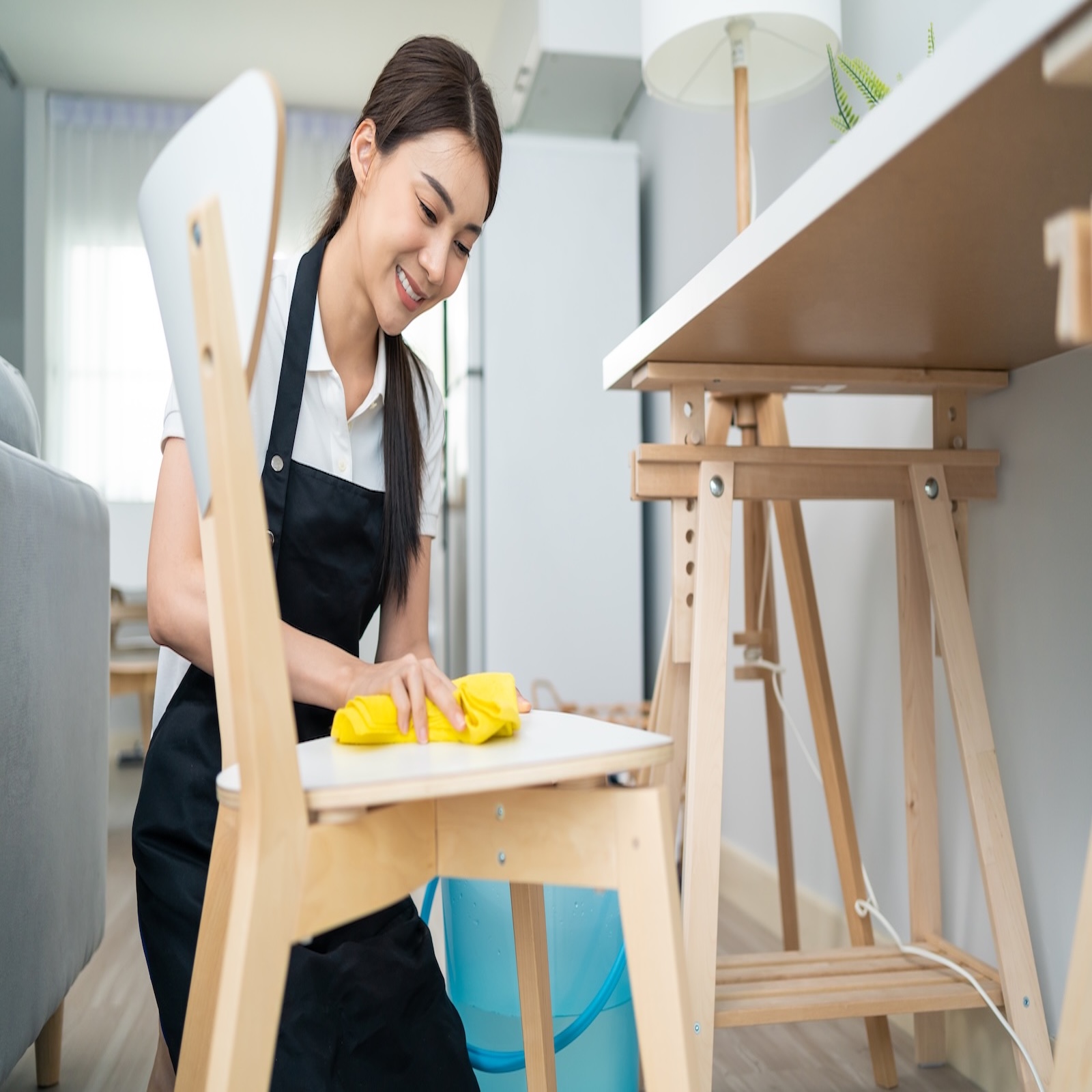 furniture Clean and Polish